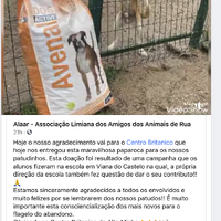 Imagem Galeria Christmas campaign 2020